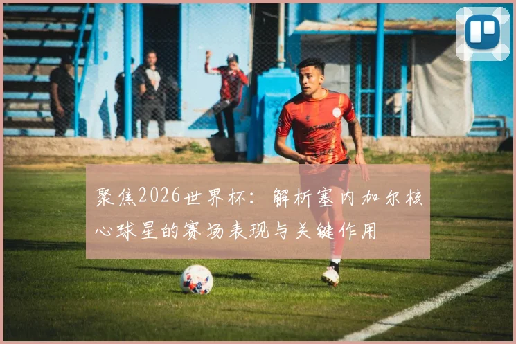 聚焦2026世界杯:解析塞内加尔核心球星的赛场表现与关键作用