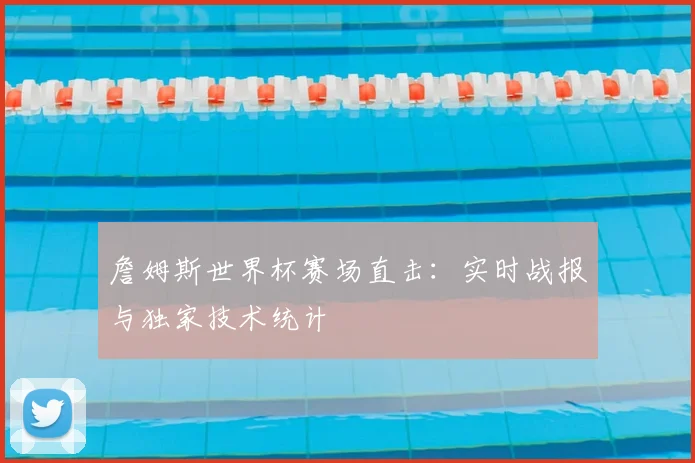 詹姆斯世界杯赛场直击:实时战报与独家技术统计